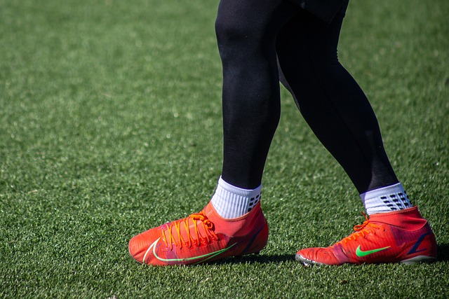 白月光的菜 白月光的菜