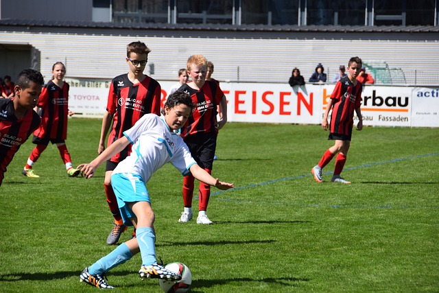 本文多次引 本文多次引